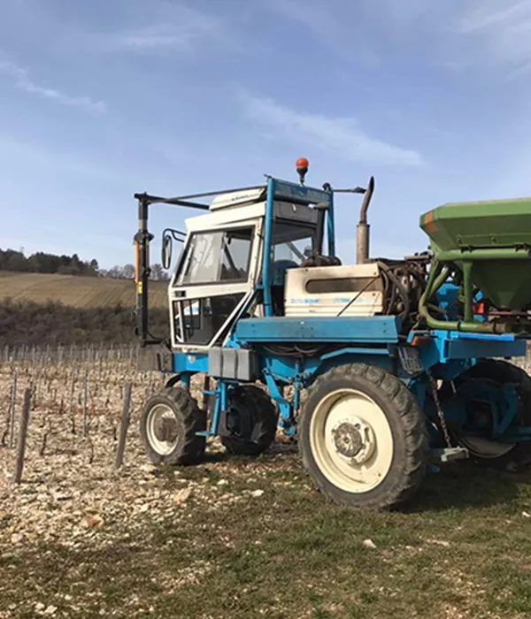 vignoble 0225